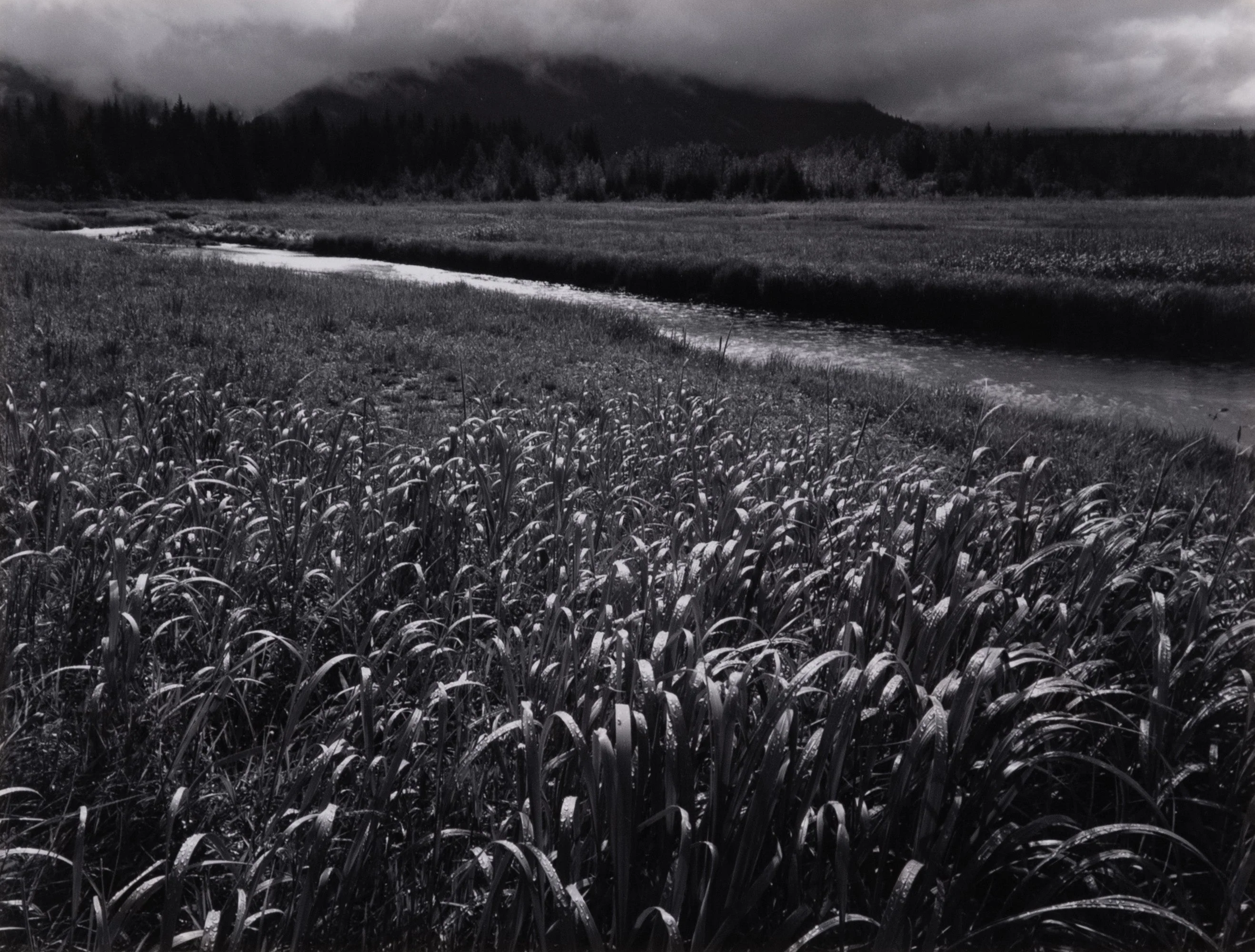 Original Photographs under $10,000